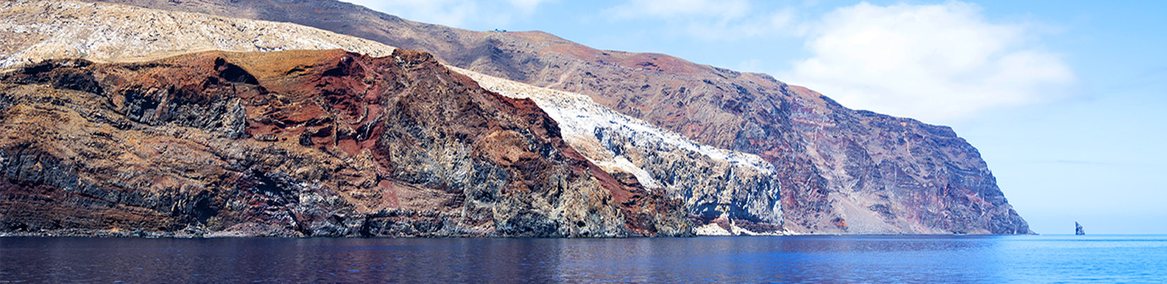 Diving in Guadalupe Island