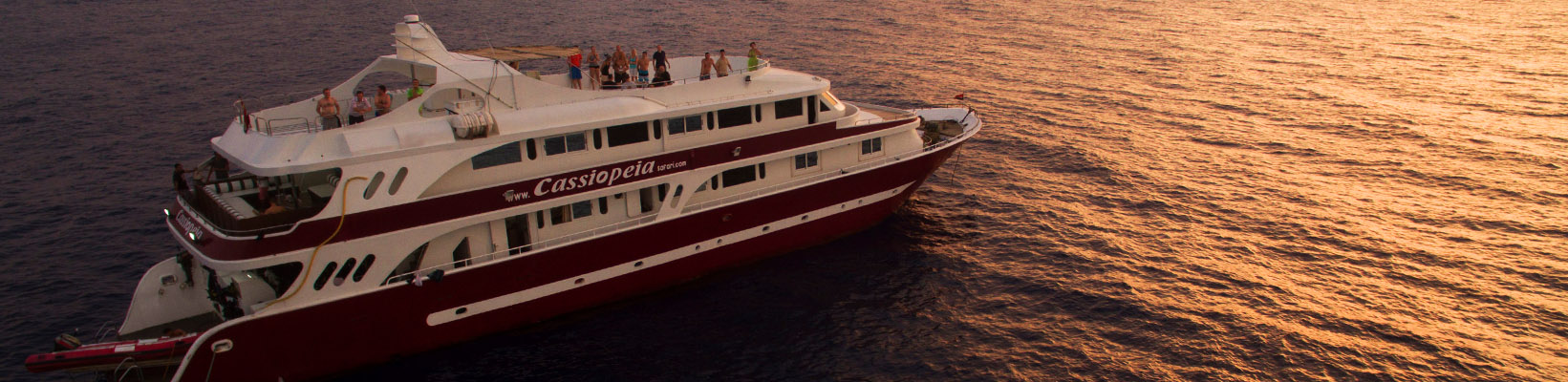 Cassiopeia liveaboard in Guadalupe