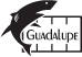 Guadalupe cage diving with white sharks company logo